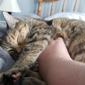 Meet your Posher, Hannah